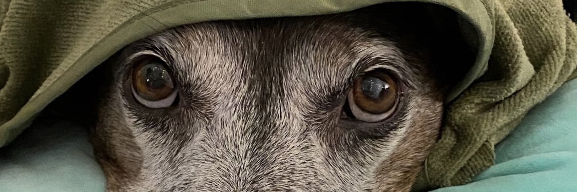 JackieM197's profile banner image