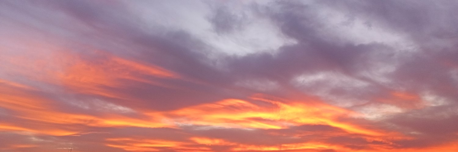 Ushijimabb's profile banner image