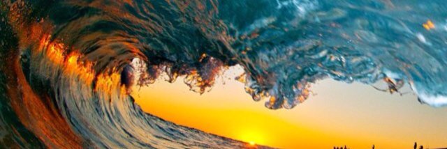 DLabrador_14's profile banner image