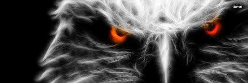 Halcon_pty_2016 banner