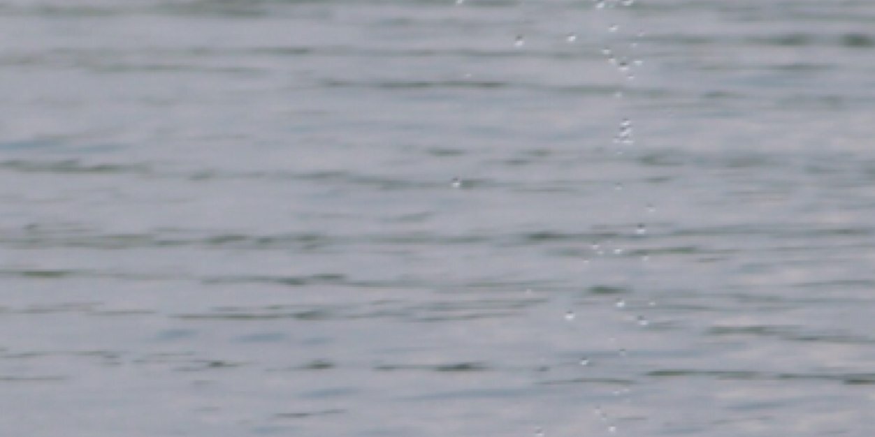 caroline banner