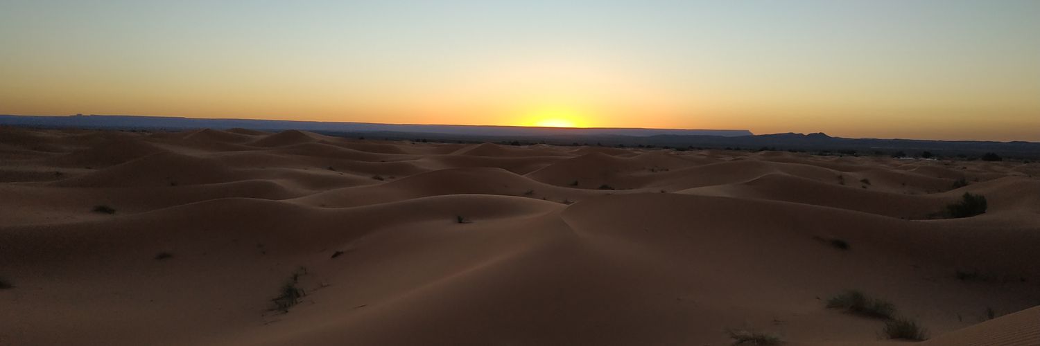 yuntaweed's profile banner image