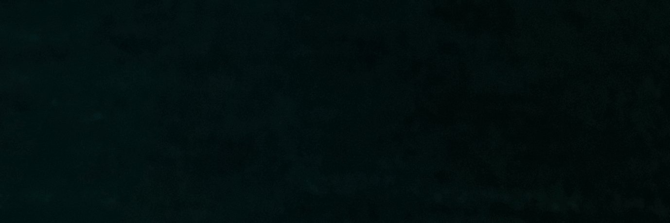 Petr Josef Gaertner banner