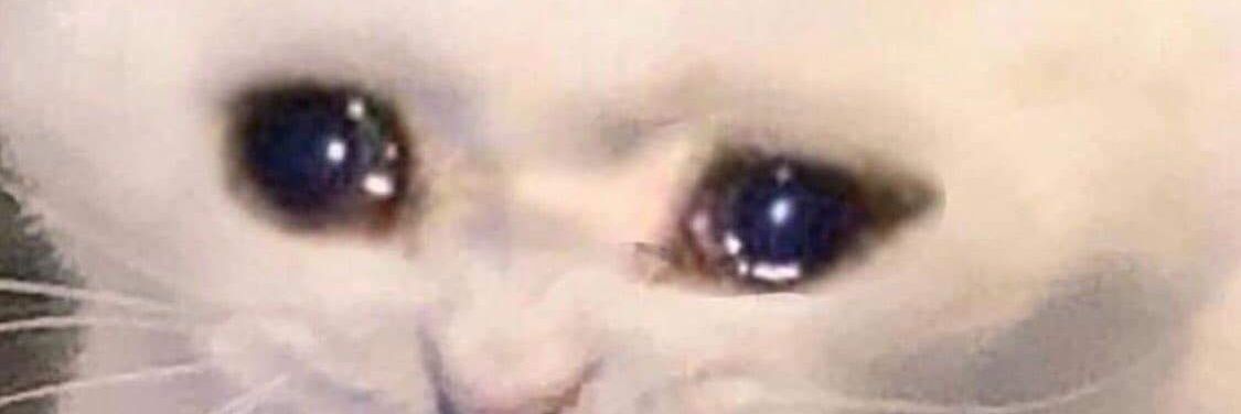 Dogilet's profile banner image
