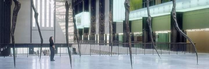 AmandaColbourne's profile banner image