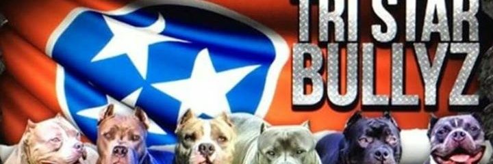TriStarBullyz's profile banner image