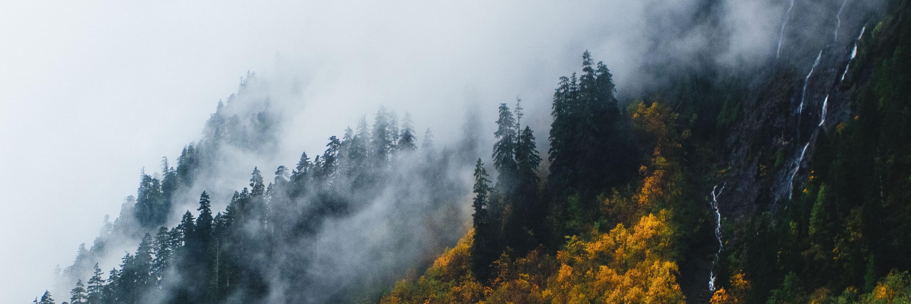 Kumaran - D I O Ξ Y Ξ banner