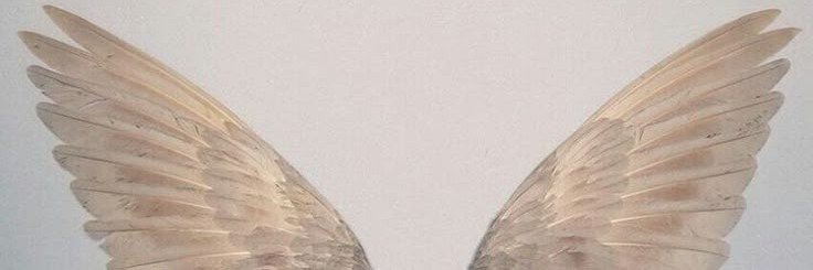 purposset's profile banner image