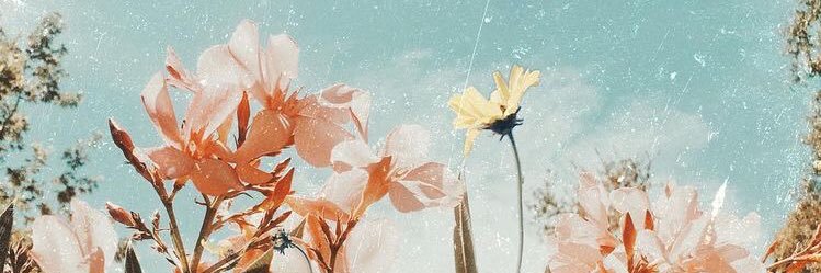aybukemutaflar's profile banner image