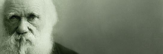 t0masius's profile banner image