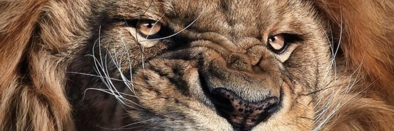 jasonpenrose's profile banner image