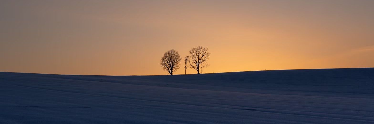3N_N_N3's profile banner image