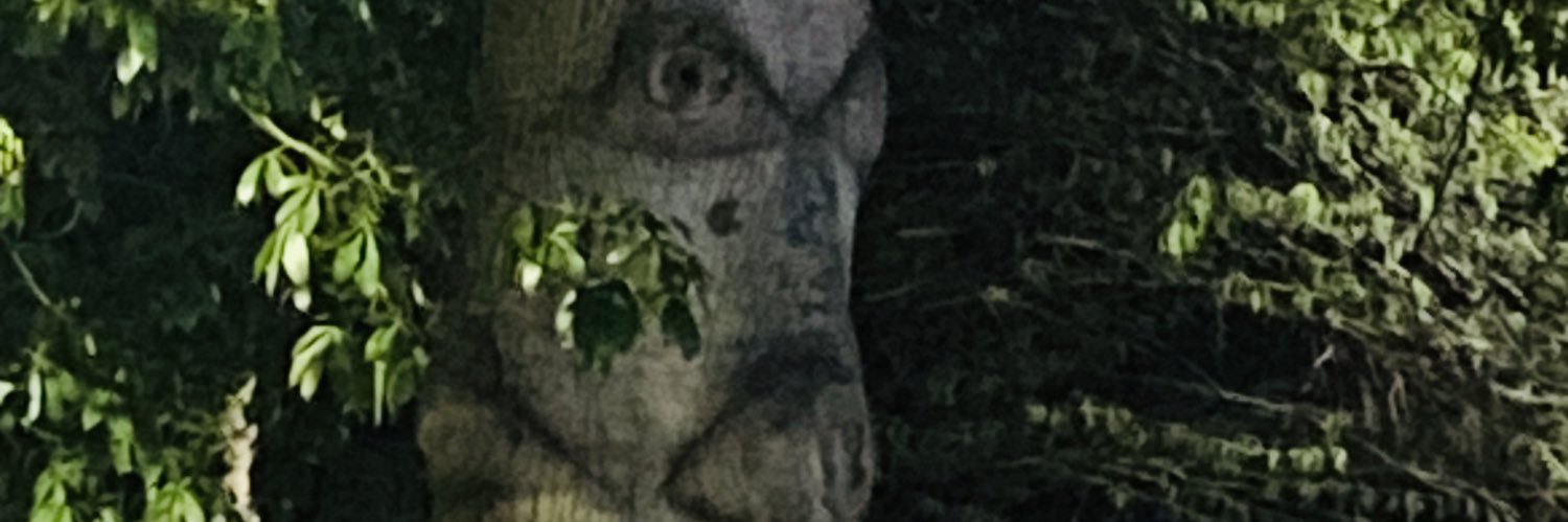 impolilove's profile banner image