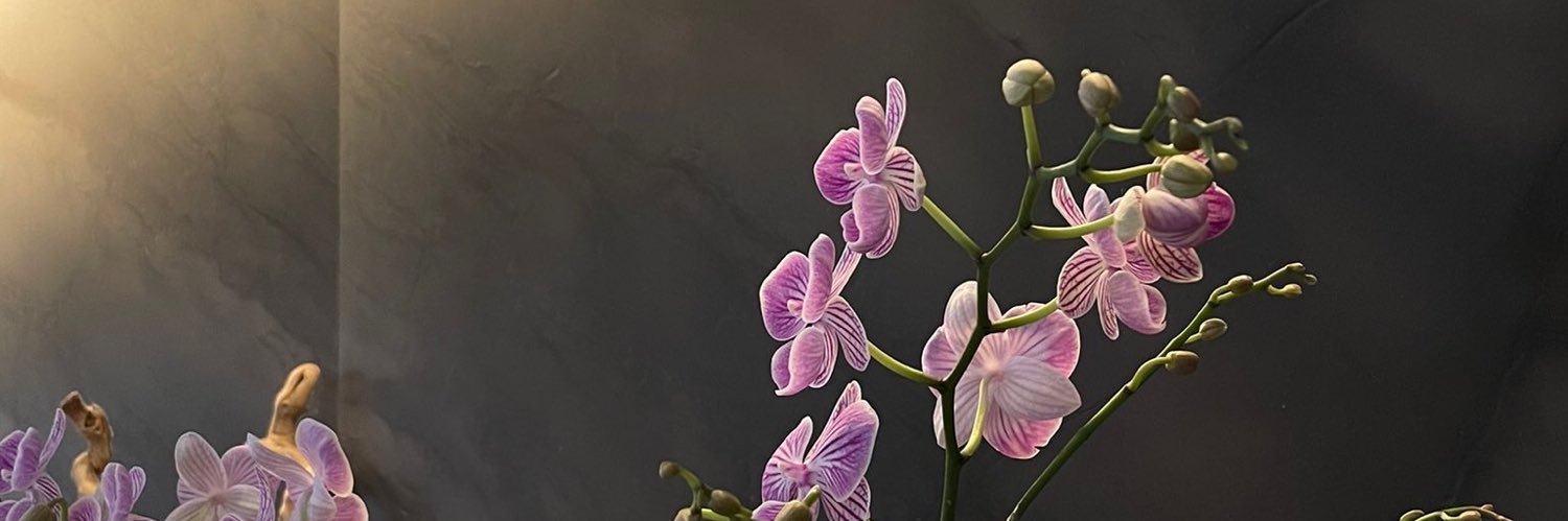 xelaineeex's profile banner image