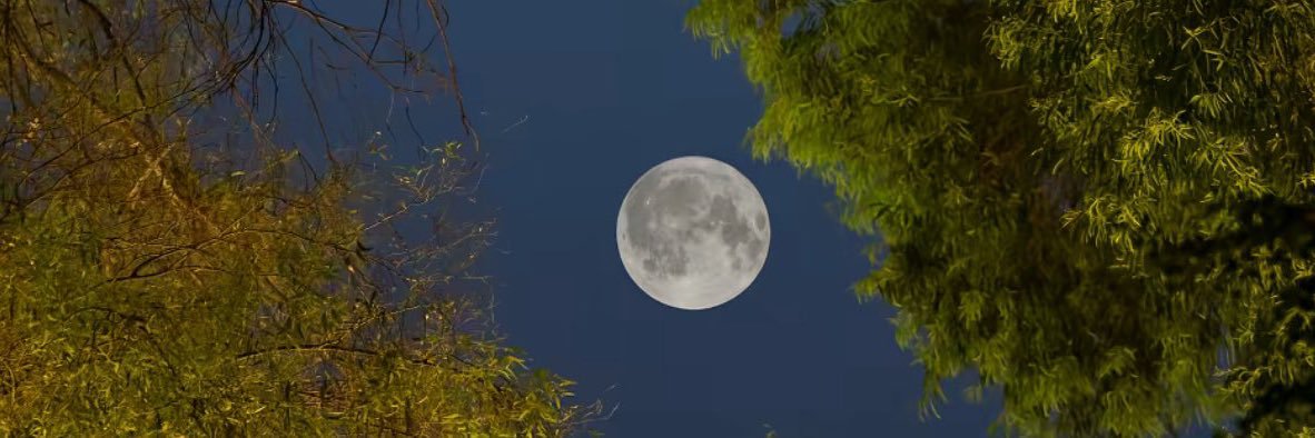 aliah_117's profile banner image
