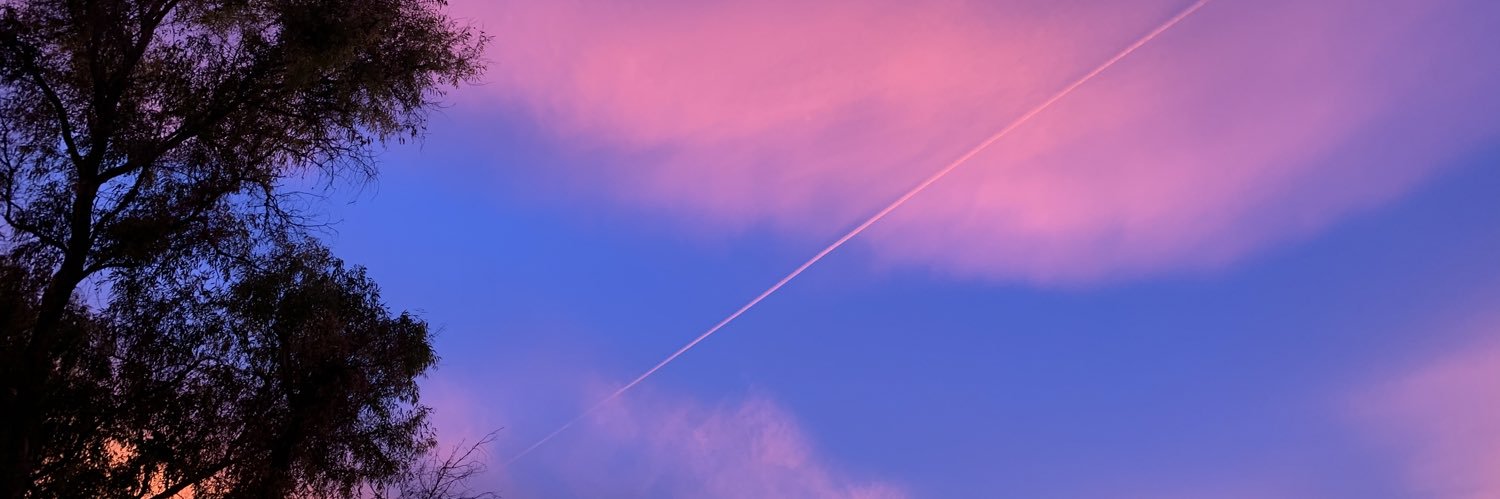 laurastronaura's profile banner image