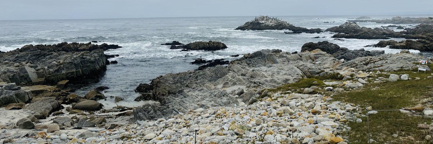 Matthew Cardenas banner