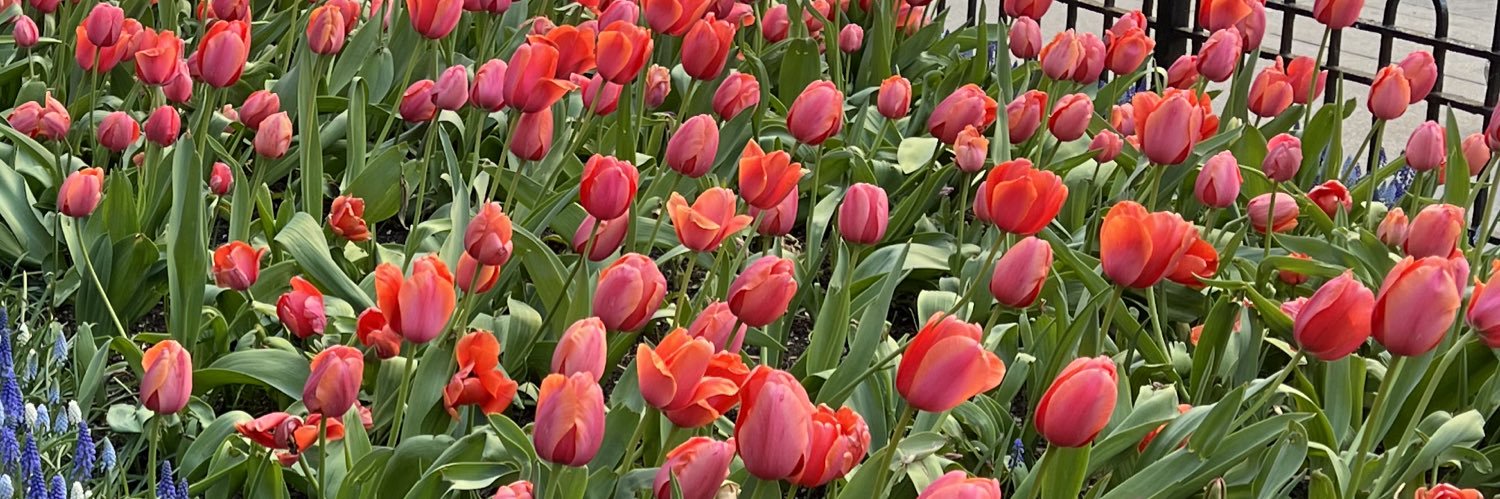 Kendall Riley 💫 banner