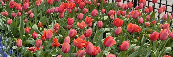 booknerd2016 Profile Banner