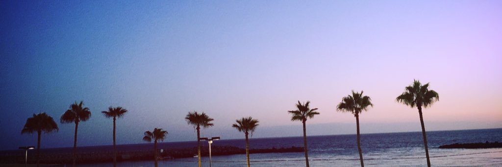 RachelBell23's profile banner image