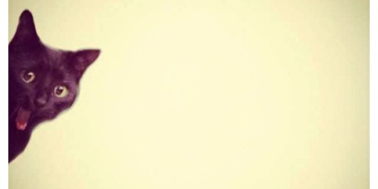 bmorelikeLEI's profile banner image