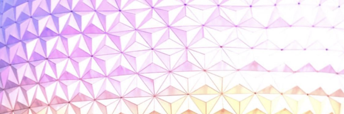Colleen Werdine banner