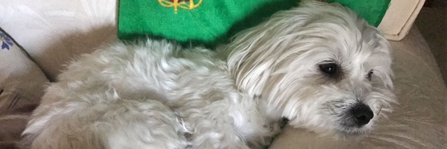 AlexfvPitt's profile banner image