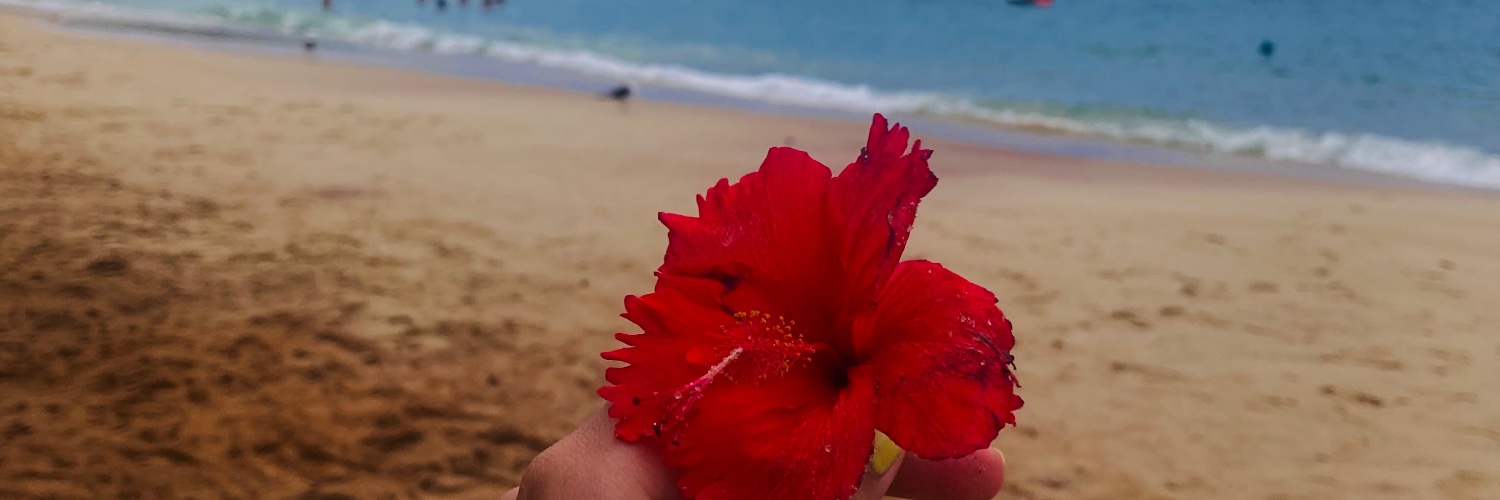Victoriosamente's profile banner image