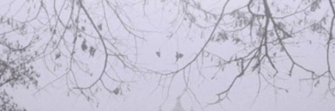 salemuae55's profile banner image