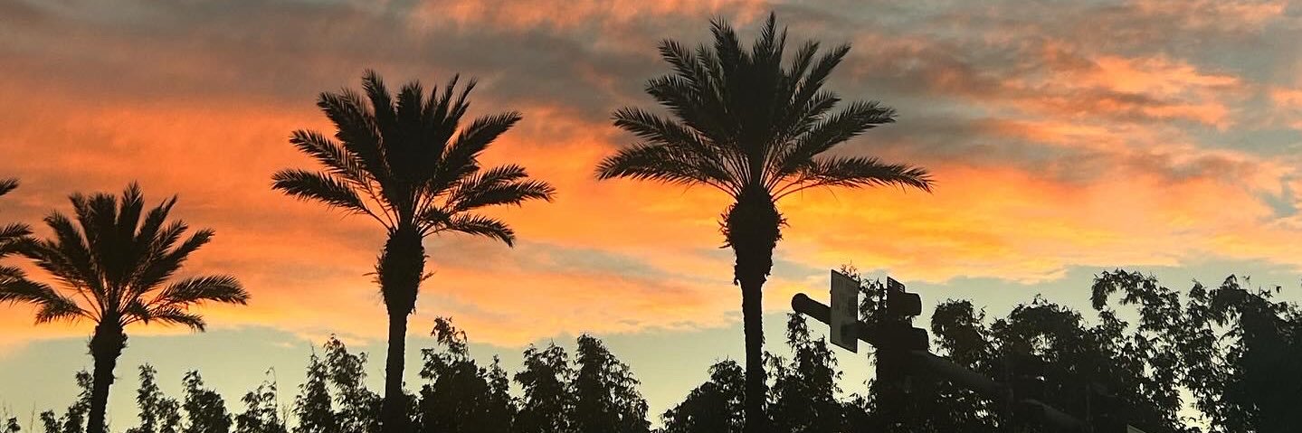 JessCaracappa's profile banner image