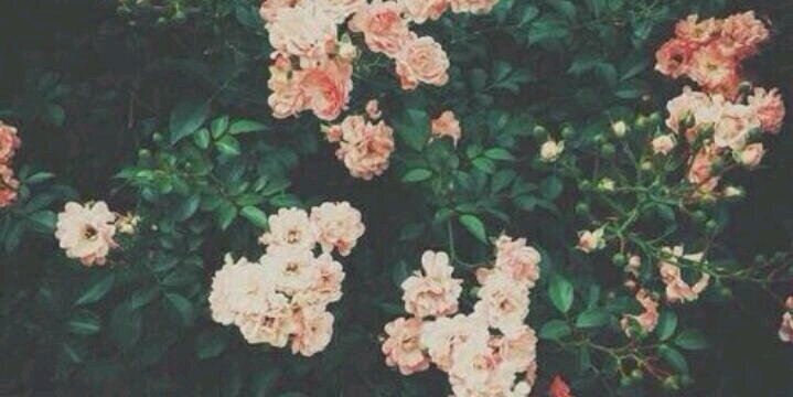 marette_xx's profile banner image