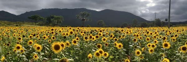 DeftyDeepa Profile Banner