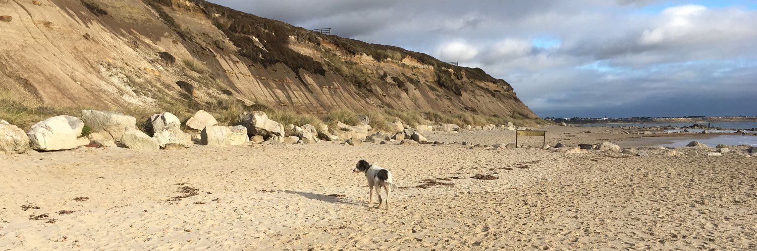 Stephanie Heath banner