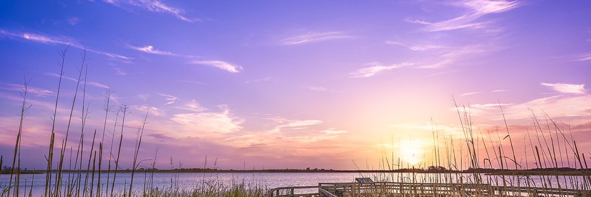 🇺🇸 Berry Richards 🇺🇸 banner