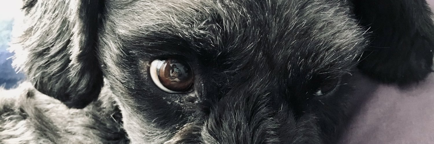 weirdweedd's profile banner image