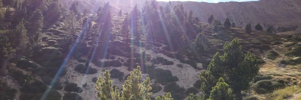 martos_ivan Profile Banner