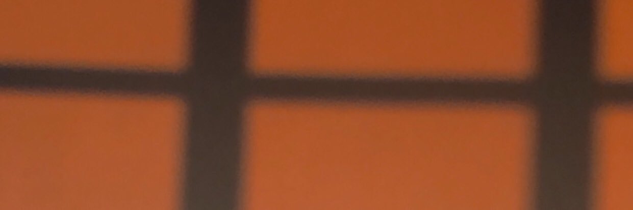 Gins banner