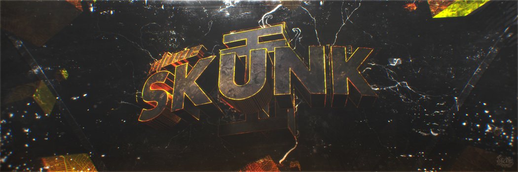 SkunkStone's profile banner image