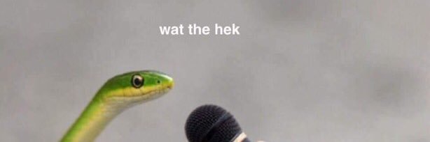 Emily Holland banner