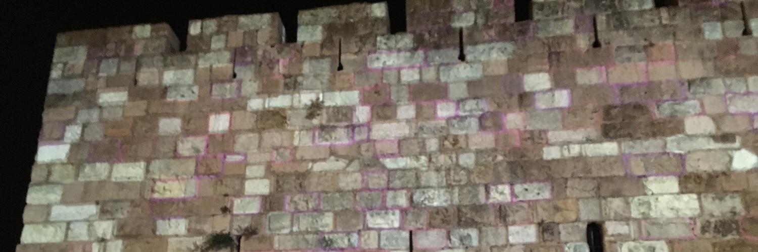 LionessofJ's profile banner image