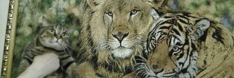 NEt_dno's profile banner image
