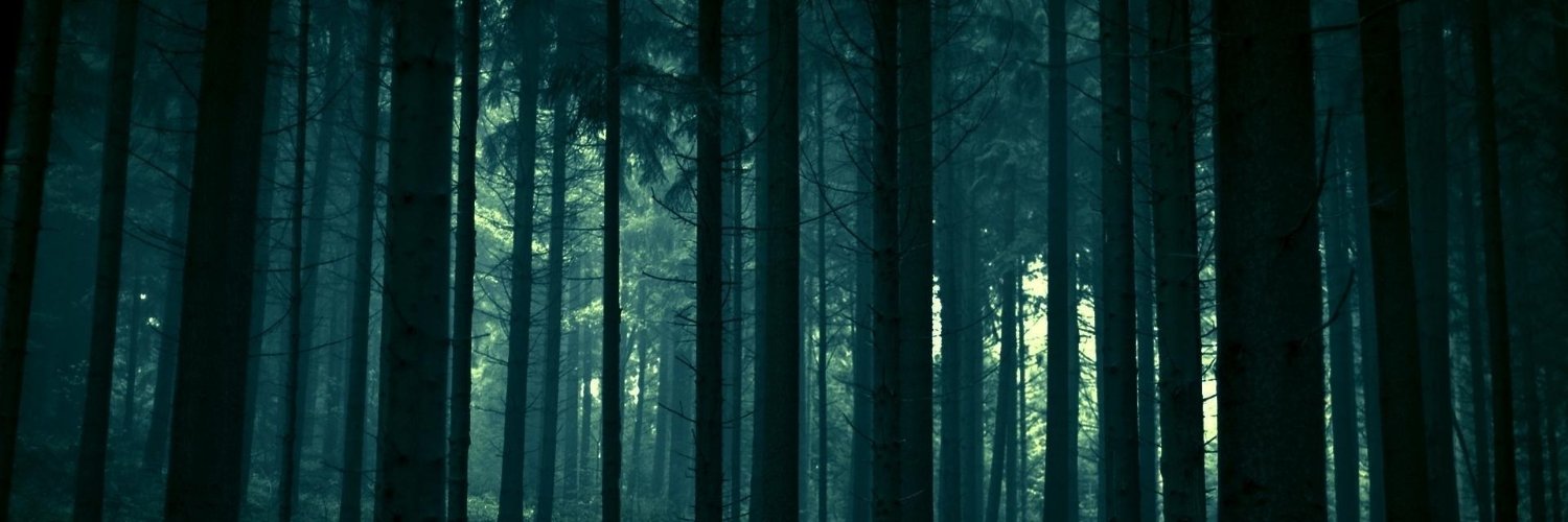 Bossu © banner