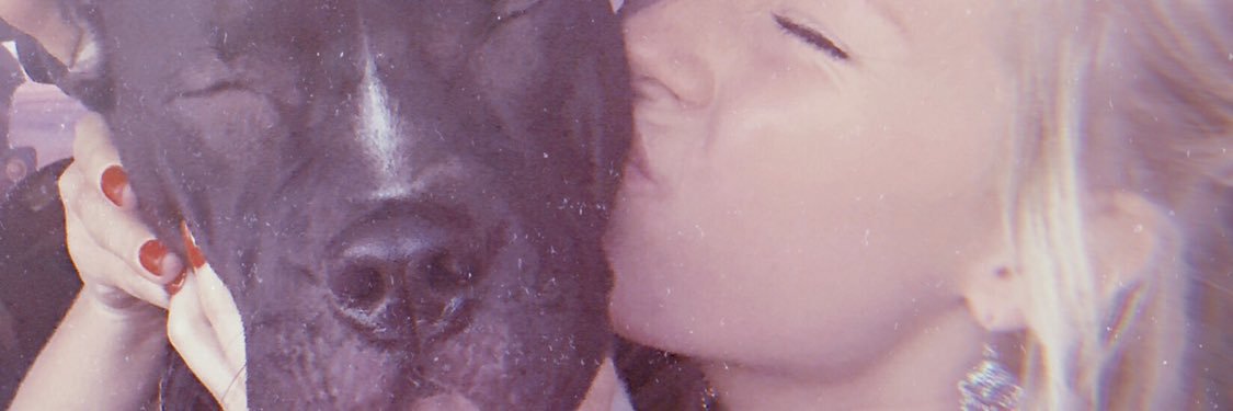 LindsySwegard's profile banner image