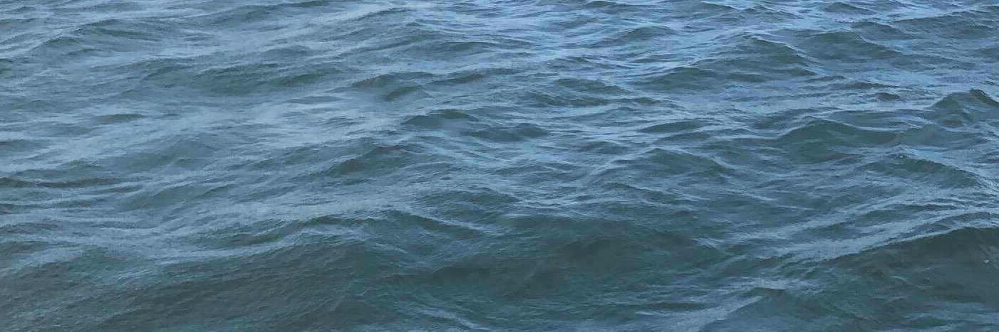 LaniWhoins's profile banner image