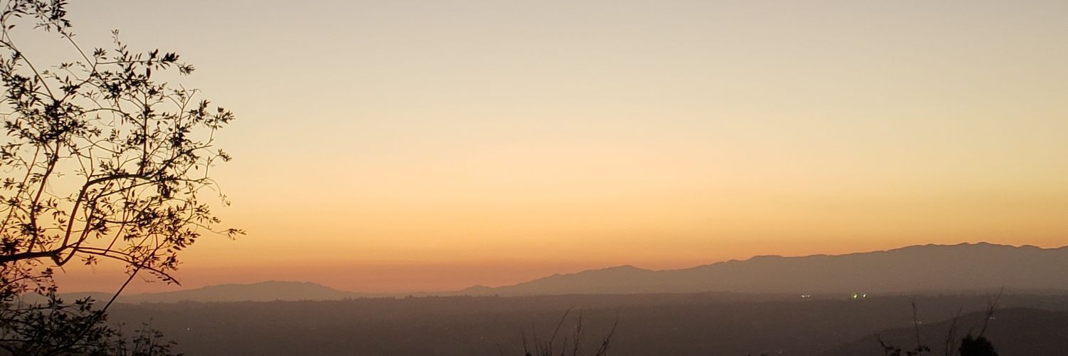 nelly4987's profile banner image