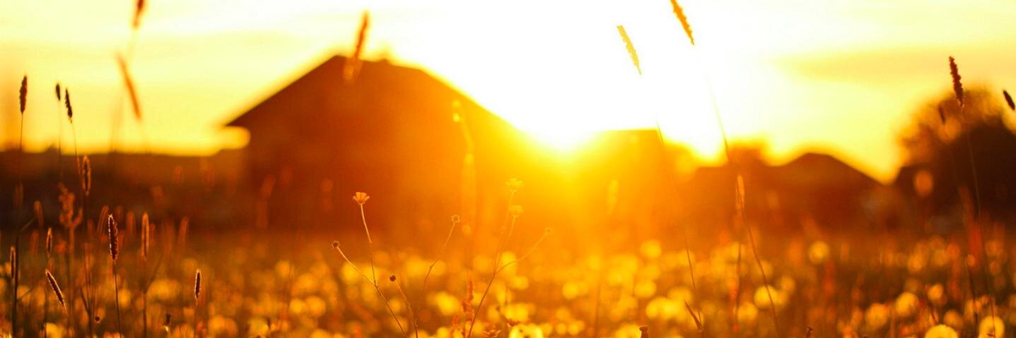 kesifler's profile banner image
