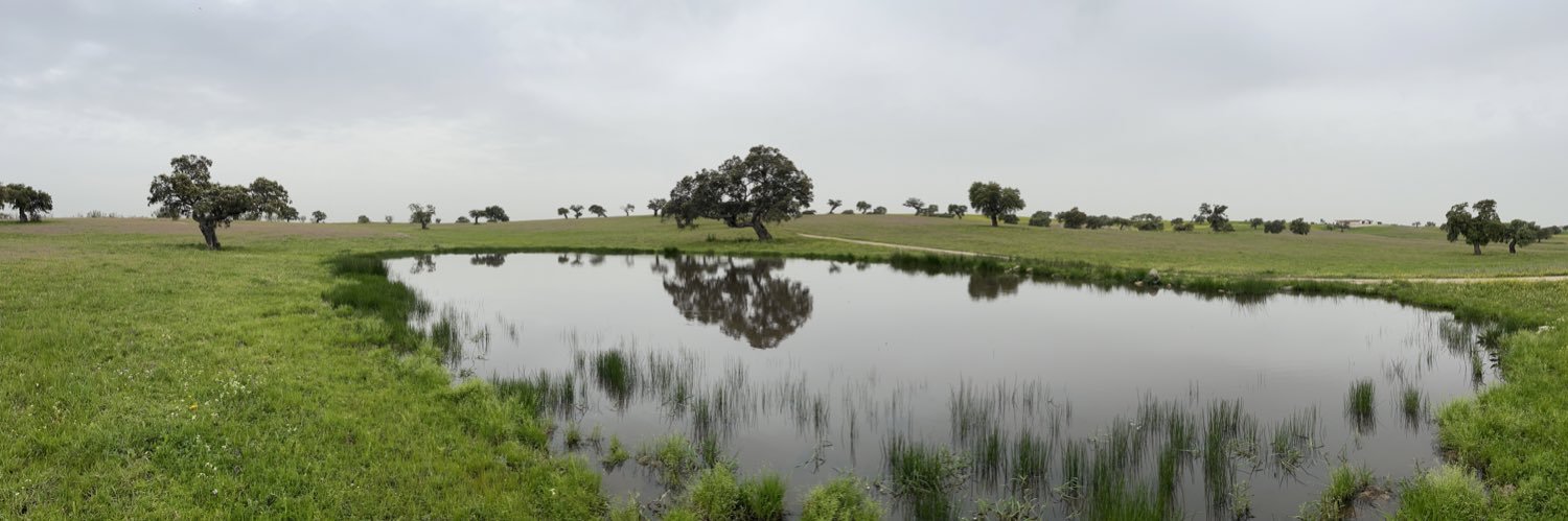Emilio de Leon banner