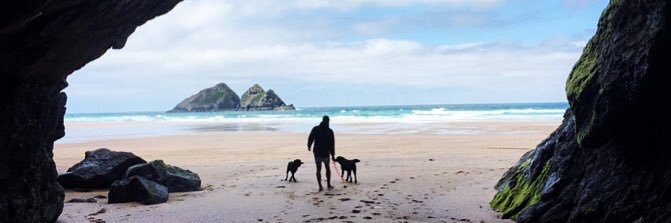 Connor Taylor banner