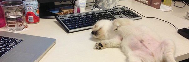 alynaleave's profile banner image