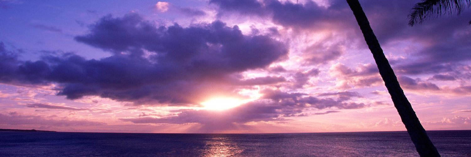 AnnyCentis's profile banner image